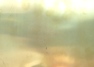    0,4  2010 